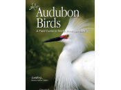 Finding Birds with Audubon Guides