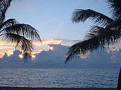 Business English Foreign Language Courses Miami