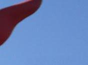 February Quiz Month: