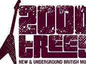 Festival Update: 2000 Trees 2012