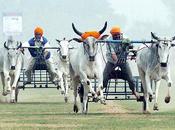 Indian Rural Olympics