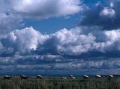 Oxfordshire: Weekend English Countryside, Fall 1998