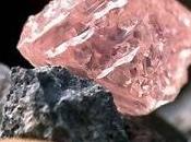 Largest Australian Pink Diamond Found Other Jewelry News