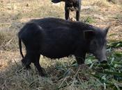 February 2012 (365 Photo Challenge)