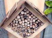 Make Insect Hotel
