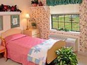 "One Done" Caregiving