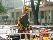 Shanidev Lord Surya