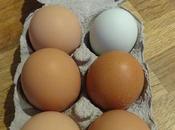 Hens Eggs