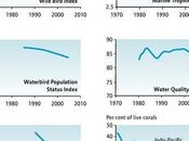 Loss Biodiversity Extinctions Global Issues