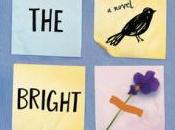 Review: Bright Places Jennifer Niven