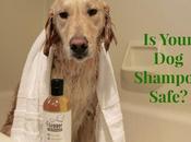 Your Shampoo Safe?