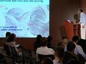 Economies Scale: Most Valuable Land There