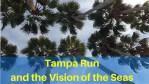 Tampa Vision Seas