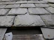 Roof Inspections Your Friend