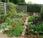 What Organic Gardening Start Garden