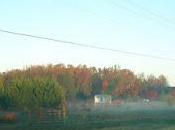 Earth This Beautiful...