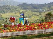 Sirao: Through Garden, Back Door