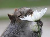 Don’t Forget Stop Smell Flowers