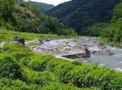 Improving Agriculture Human Food Production (Dax Olfindo, Philippines)