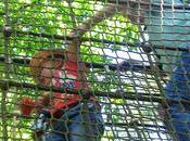 Bewilderwood Wins Baby Changing Room Year!