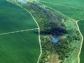 Climate Change, Dams, Deforestation Vicious Cycle Amazon Rivers, Lakes