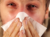 Natural Remedies Allergy Relief
