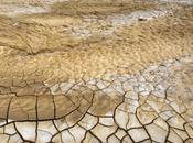 Biodiversity: Restoring Earth’s Balance (Climate Change News)