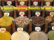 Herbs Spices Surprising Benefits Your Health