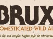 Brux Domesticated Wild Russian River Sierra Nevada Brewing Collaboration) Bottle 3/5/2016