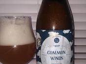Common Winds Apricot Bret Four Brewing (The Commons Brewery)
