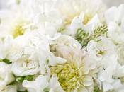 White Wedding Blooms