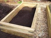 Raised Progress Report