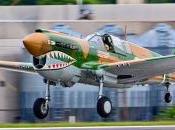 Curtiss P-40N Warhawk