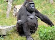 Extraordinary Things Save Endangered Species