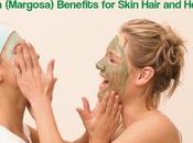 Neem (Margosa) Benefits Uses Skin Hair Health