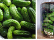 Pickle Green! from Carton Milk