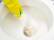 Tips About Blocked Toilets