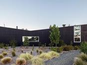 This Chilean House Recreates Spring Experience with Super Luxurious Stone