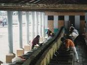 Very Real Effects Culture Shock, Part