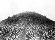 Richard Dewhurst Giant Skeletons Have Been Unearthed Mound Builder Sites Over World