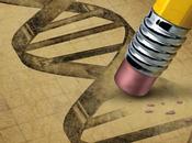 GMOs: Facts About Genetically Modified Food