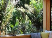 Little Kiwi Beach House Beefs Time