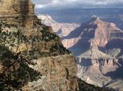 Almost Half Natural World Heritage Sites Threatened Industry, Report Says