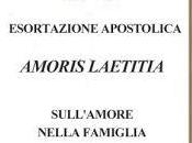 Sifting Through More Commentary Amoris Laetitia: "There Almost Complete Silence Homosexuality" Laetitia