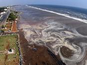 High Court Directs Insurance Company Barges