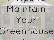 Tips Maintain Your Greenhouse