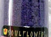 Soulflower Ocean Mineral Lavender Essential Bath Salt Review