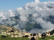 Gaddi Culture Himachal Pradesh