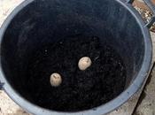 "Earthing-up". Worth Doing?