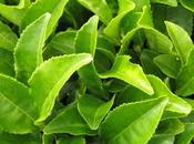 Incredible Benefits Green